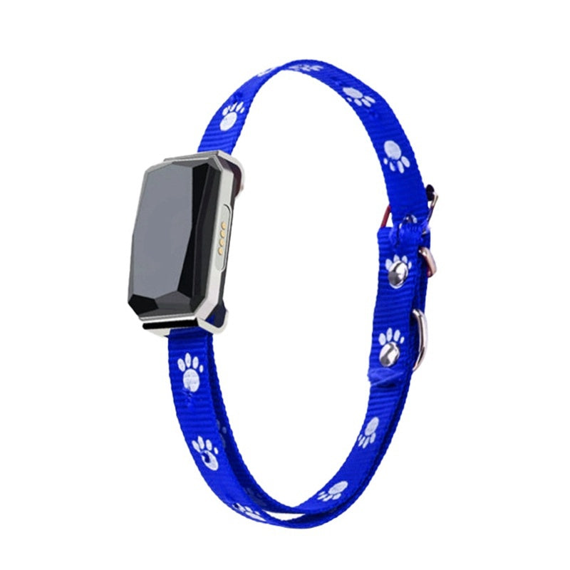 GPS Tracktive pet positioning collar