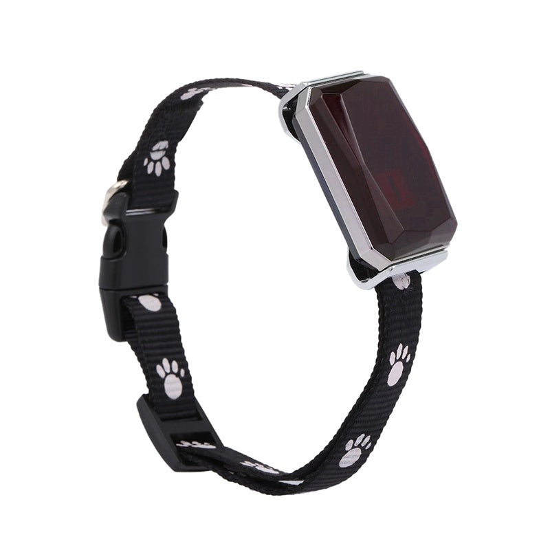 GPS Tracktive pet positioning collar