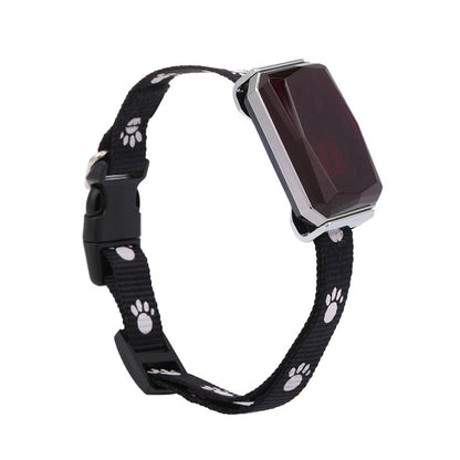 GPS Tracktive pet positioning collar
