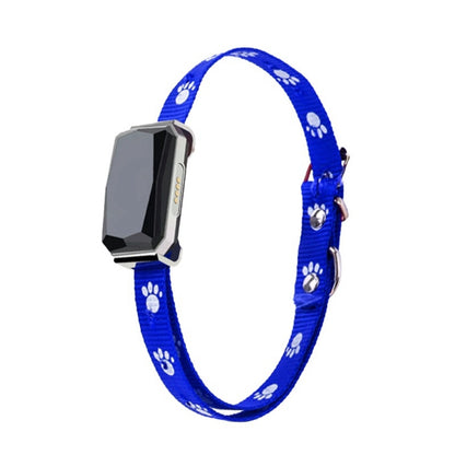 GPS Tracktive pet positioning collar