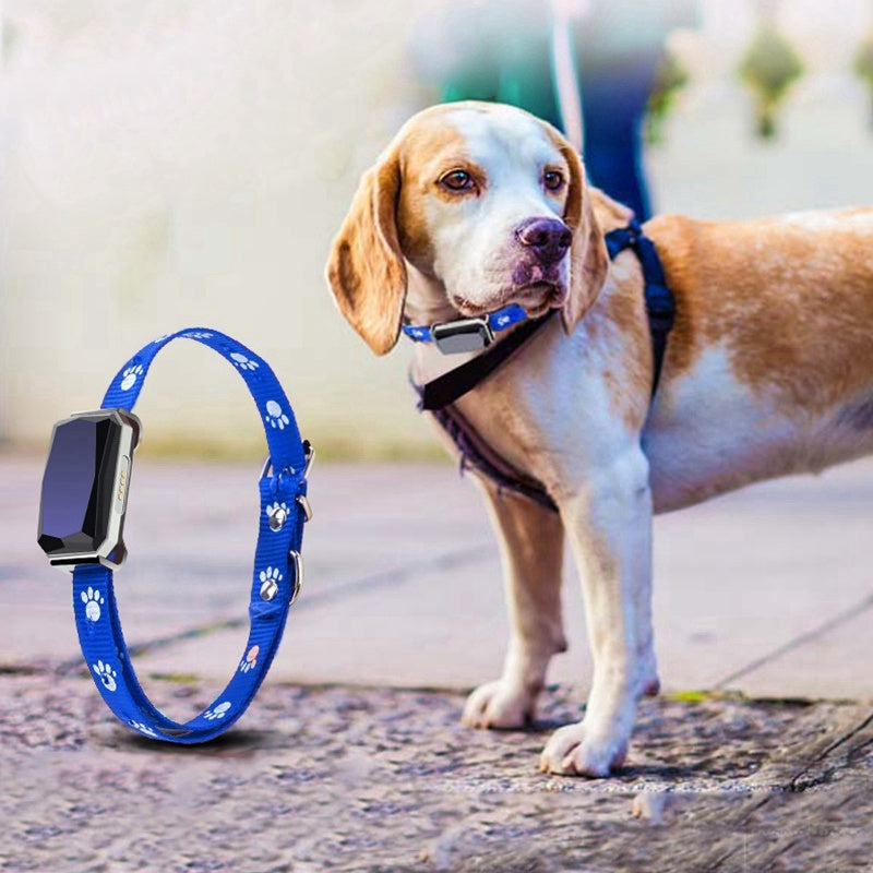 GPS Tracktive pet positioning collar